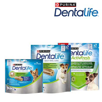 DENTALIFE 25% DE DESCONTO (31 DE DEZEMBRO DE 2024)