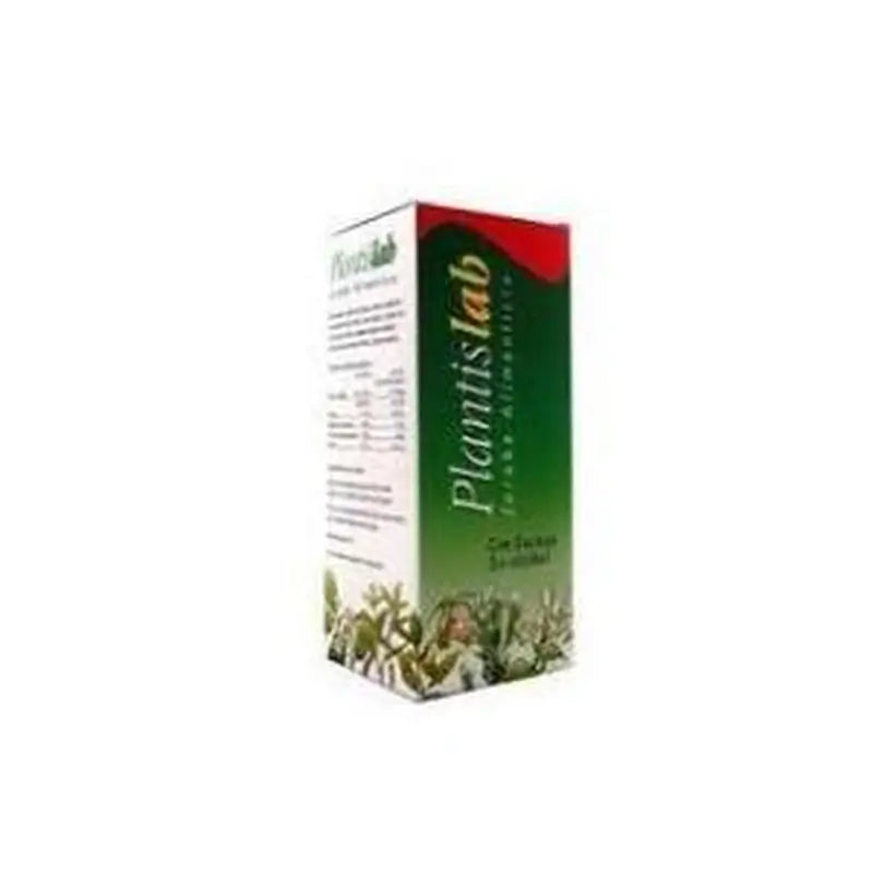 Artesania Plantislab Eco (Digestivo) Jarabe 250Ml.