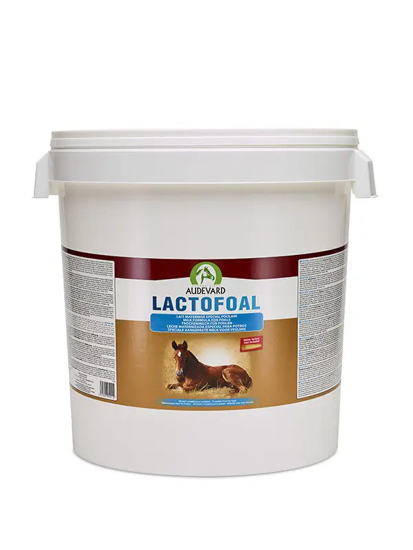 Audevard Lactofoal 14Kg