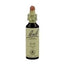 Bach Elm 20 Ml