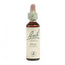 Bach Pine 20 ml