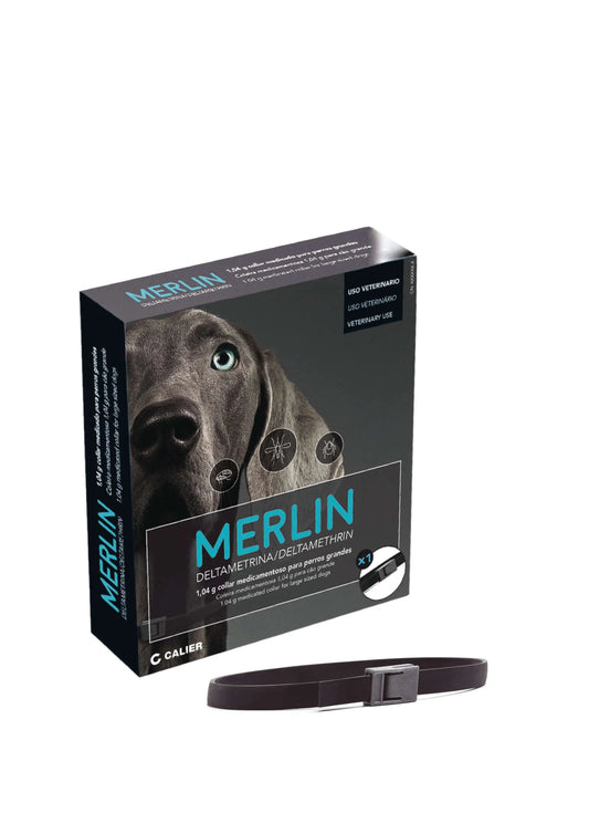 Calier Collar Merlin 65 cm 1 Unidad