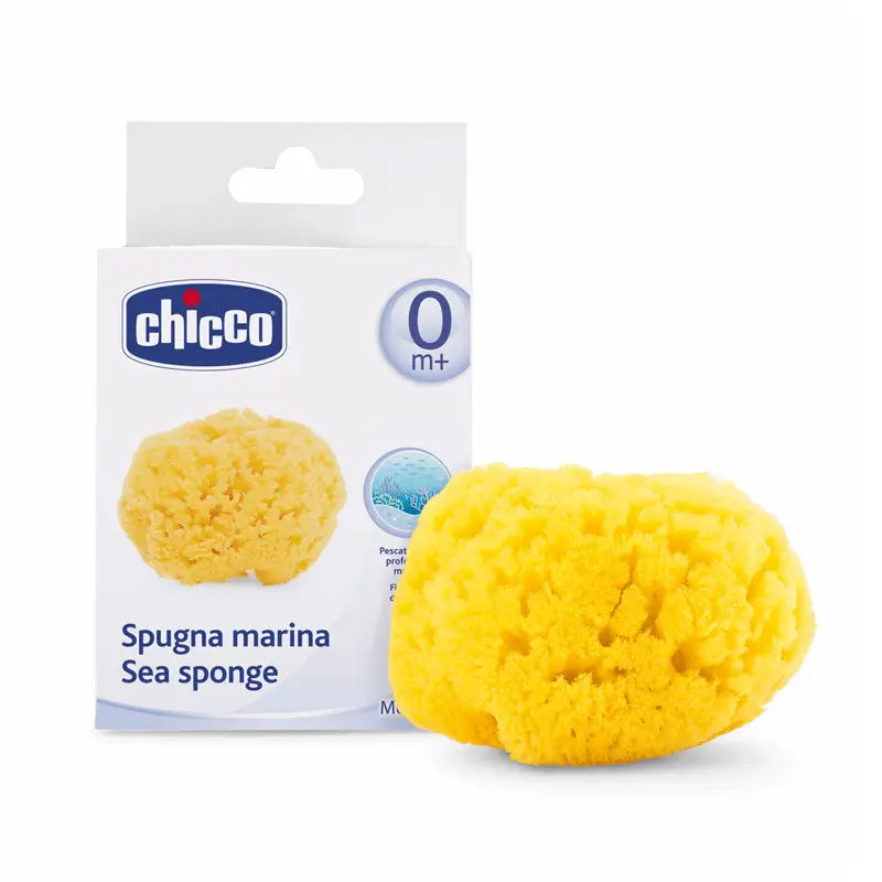 Chicco - Esponja Marina Natural de Baño +0 Meses