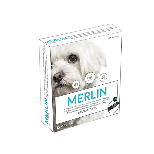 Collar Merlin, 48 cm 1 Unidad