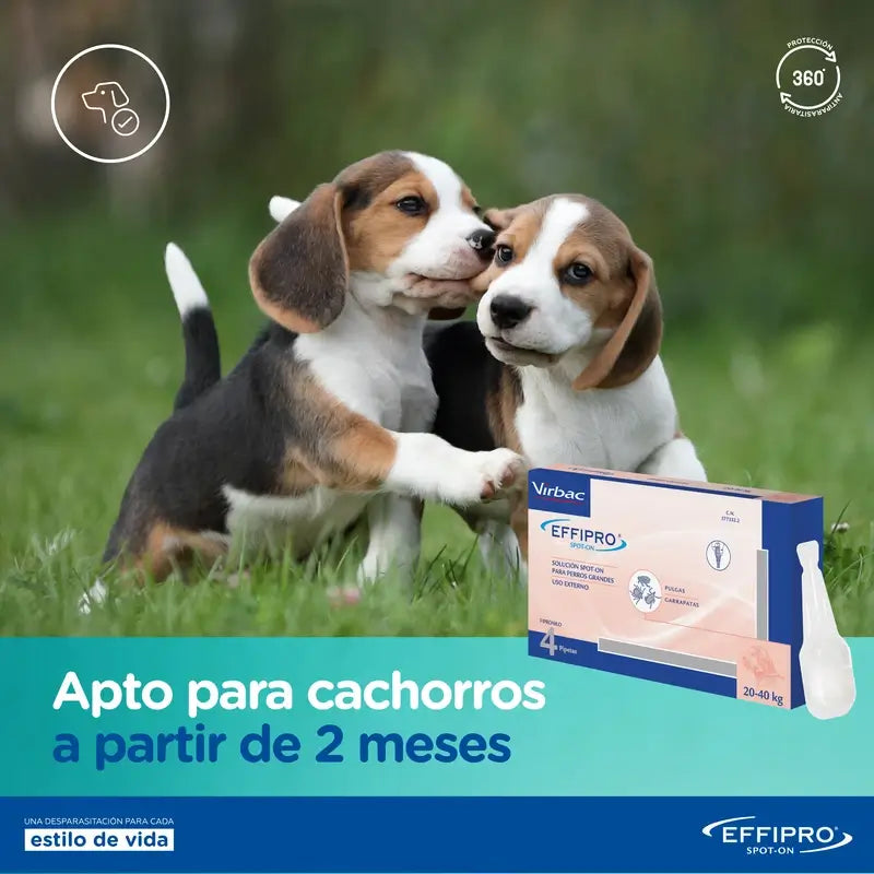 Effipro 134 Mg Spot-On Cães Médios 10-20 kg, 24 Pipetas