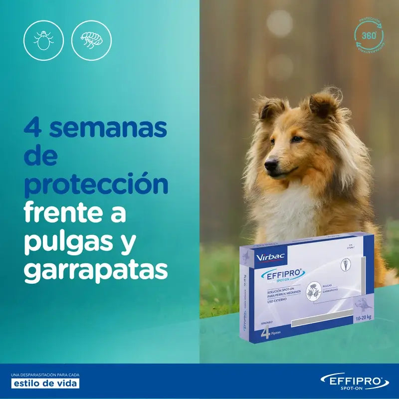 Effipro 268 Mg Spot-On Cães Grandes 20-40Kg, 4 Pipetas