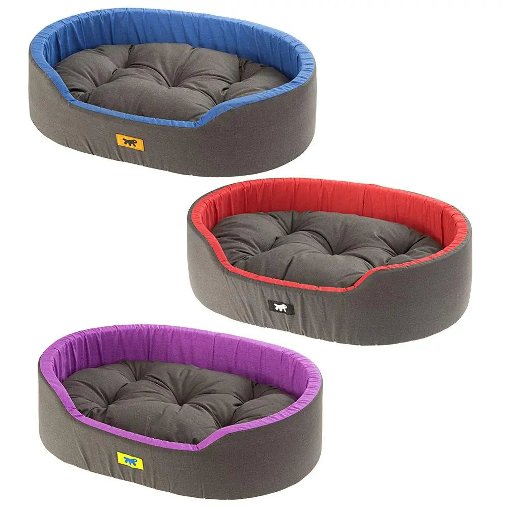 Ferplast Cama Dandy 45 Verde Purple Azul