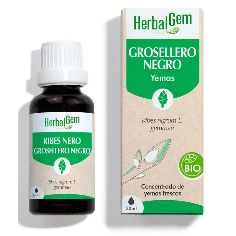 Herbalgem Groselha Negra Bio , 30 ml