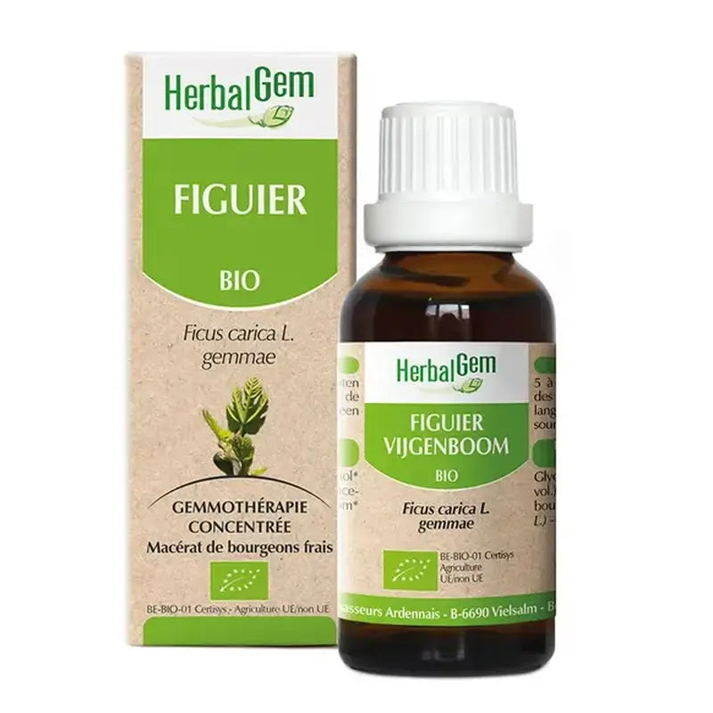 Herbalgem Figueira Bio , 30 ml