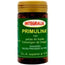 Integralia Primulina 100 Perlas 