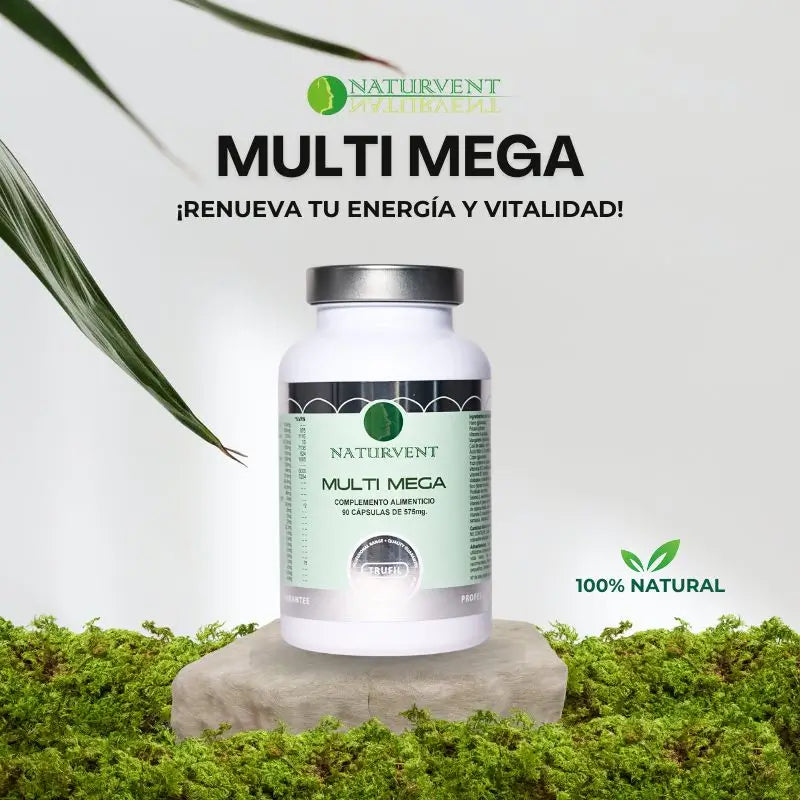 Naturvent Multivitamins Multi Mega Multivitamin, 90 cápsulas