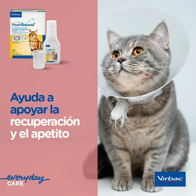 Virbac Nutribound Gatos Caixa 3 x 150 ml