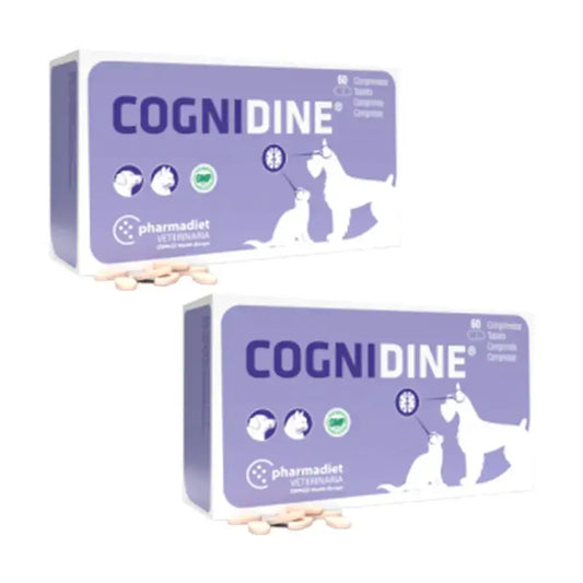 Cognidine Pack, 2 x 60 comprimidos