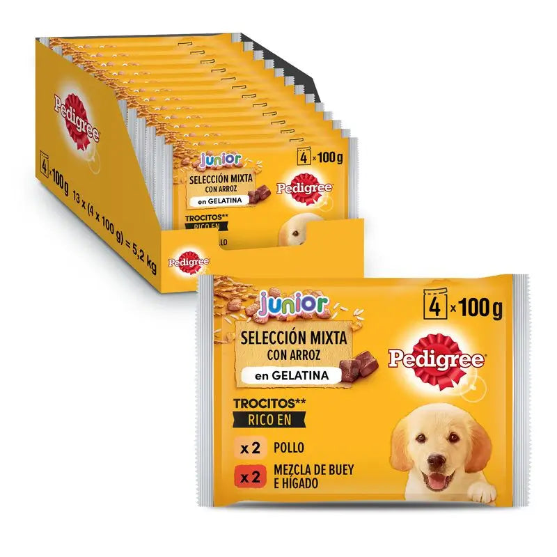 Pedigree 4Pack Junior Sachês de Frango e Arroz 13X4X100