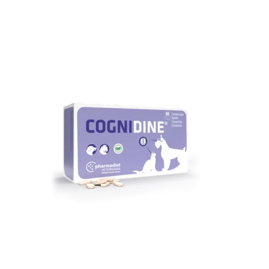 Cognidine, 60 Comprimidos