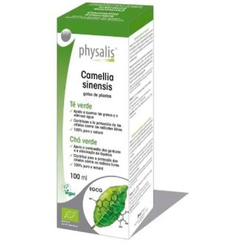 Physalis Ext. Te Verde (Camelia Sinensis) 100Ml. Bio