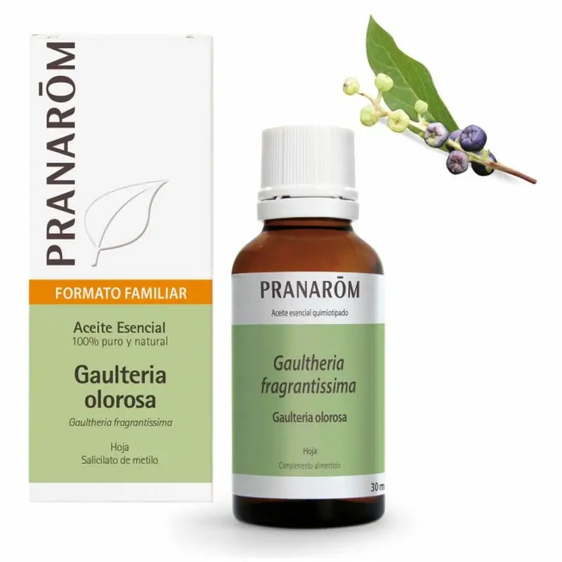 Pranarom Aceite Esencial Gaulteria Olorosa 30 ml