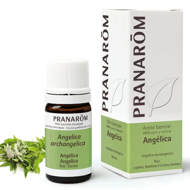 Pranarôm Angelica 5 ml