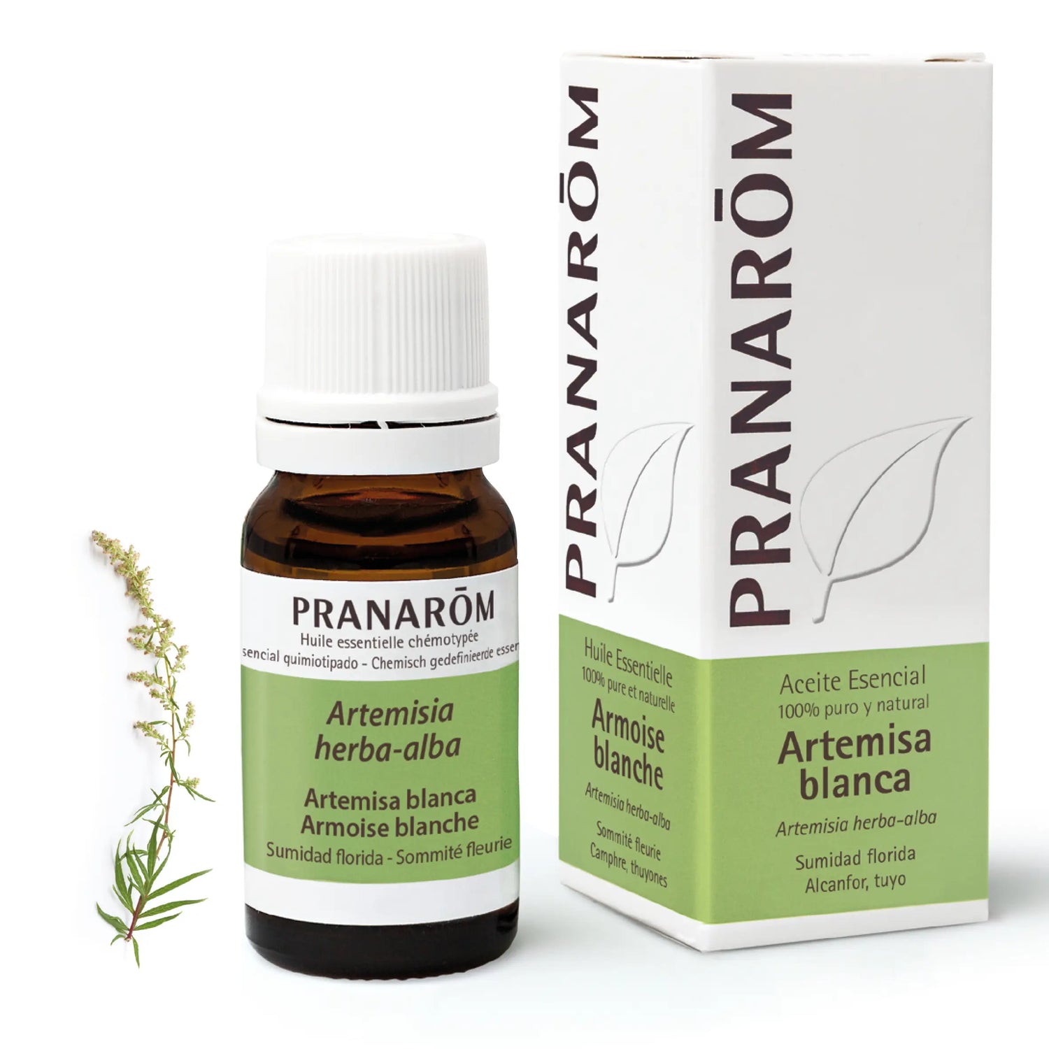 Pranarôm Artemisa Blanca 10 ml