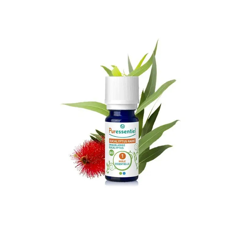 Puressentiel Óleo Essencial de Eucalipto Radiata Bio, 10 ml