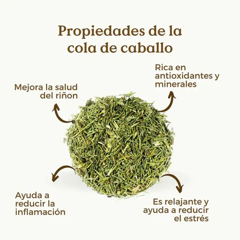 Replantea Cola De Caballo Ecológica, 100 gr