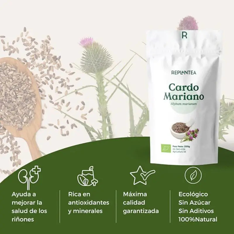 Replantea Semillas De Cardo Mariano Ecológica, 200 gr