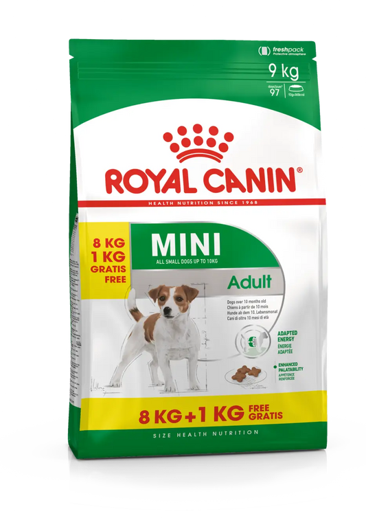 Royal Canin Adult Protein Exigent 2Kg, pienso para gatos