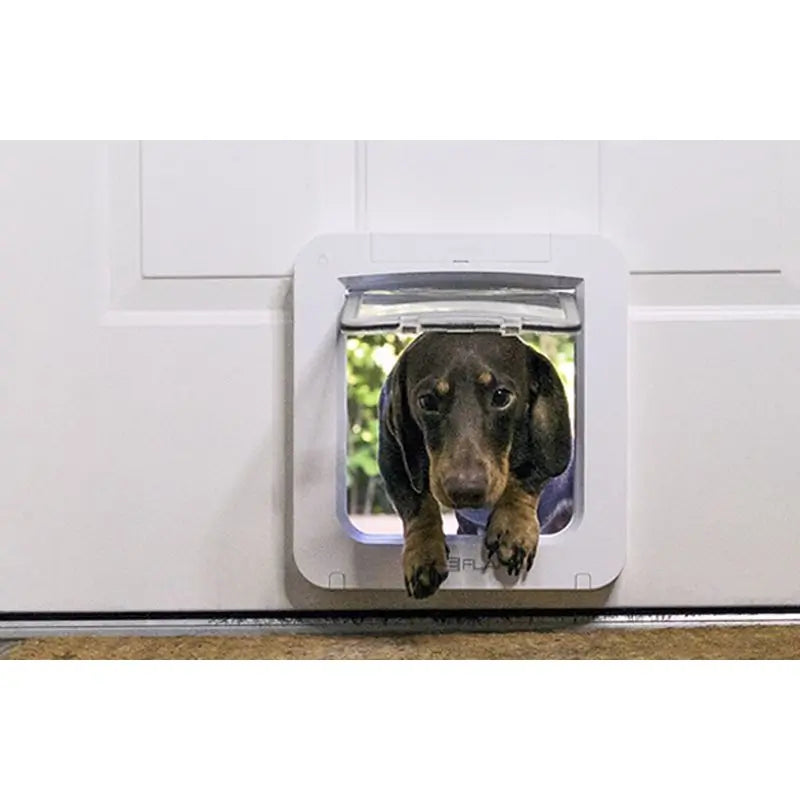 Sure PetCare SureFlap- Portão para animais de estimação com Microchip Connect + Hub