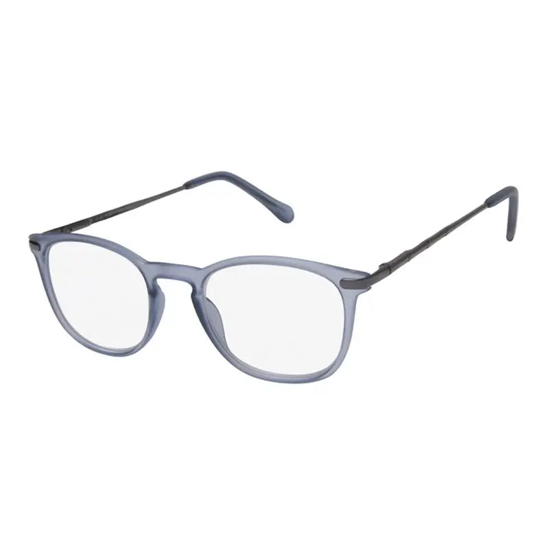 Surgicalmed Euro Optics Óculos de leitura para presbiopia (Templos azul mate e cinzento escuro) (+2.00) Templos azul mate e cinzento escuro, 1 peça