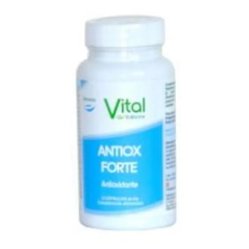 Vital Ballance Antiox Forte 60Cap. 