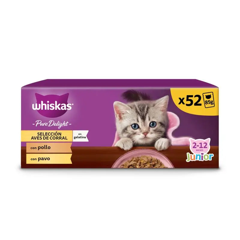 Whiskas Pure Delight Junior Aves de capoeira 13X4X85Gr