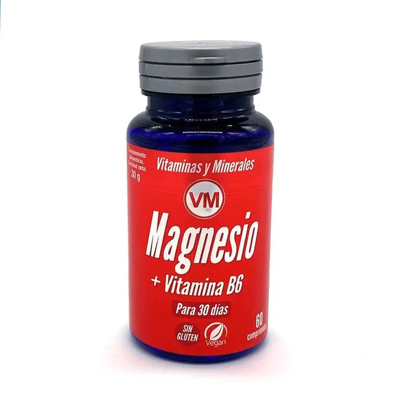 Ynsadiet Magnésio + Vit. B6 60Comp.